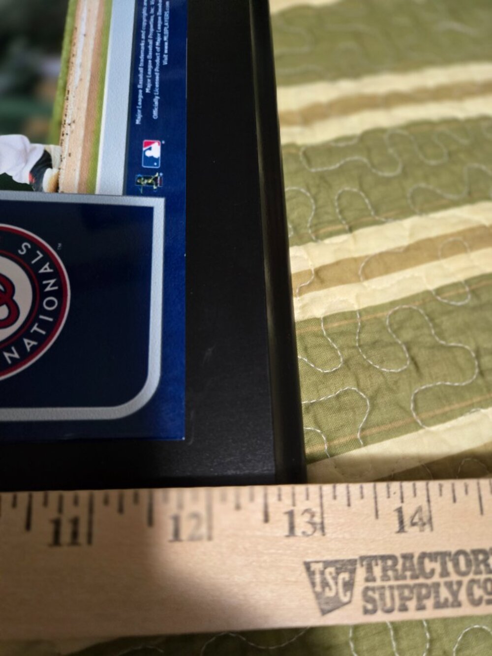 Fanatics Authentic Anthony Rendon Plaque - Picture 8 of 8